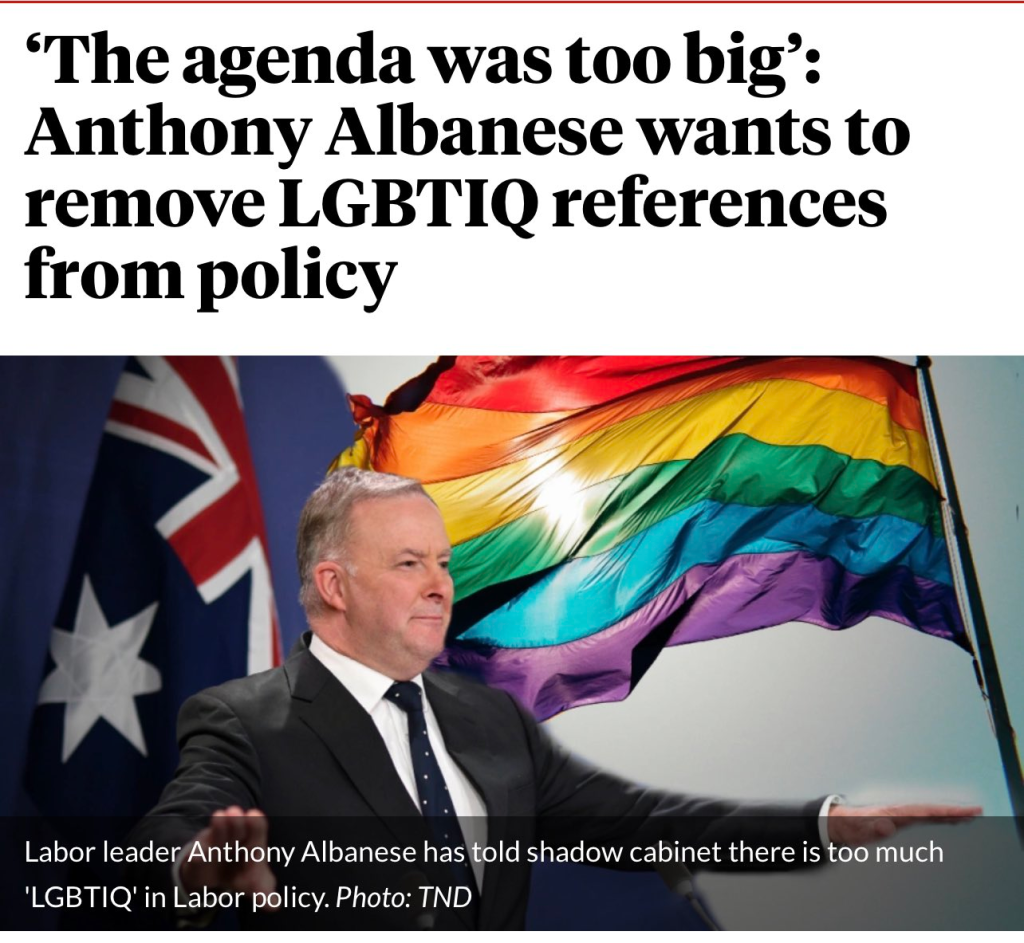 'The agenda was too big':
Anthony Albanese wants to remove LGBTIQ references from policy